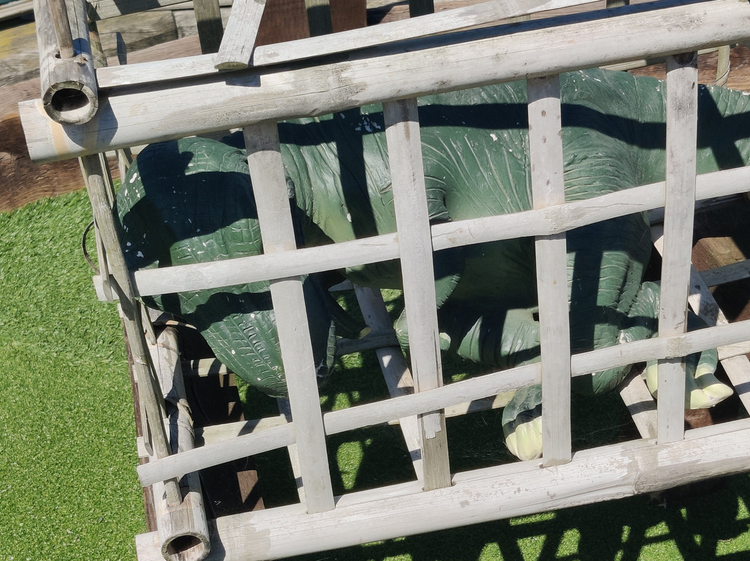 Lost City Adventure Golf