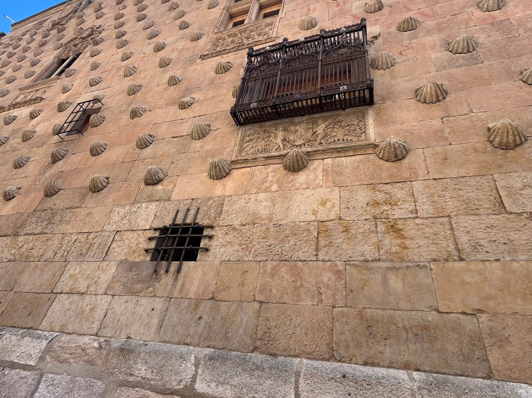 萨拉曼卡大学-萨拉曼卡必去景点