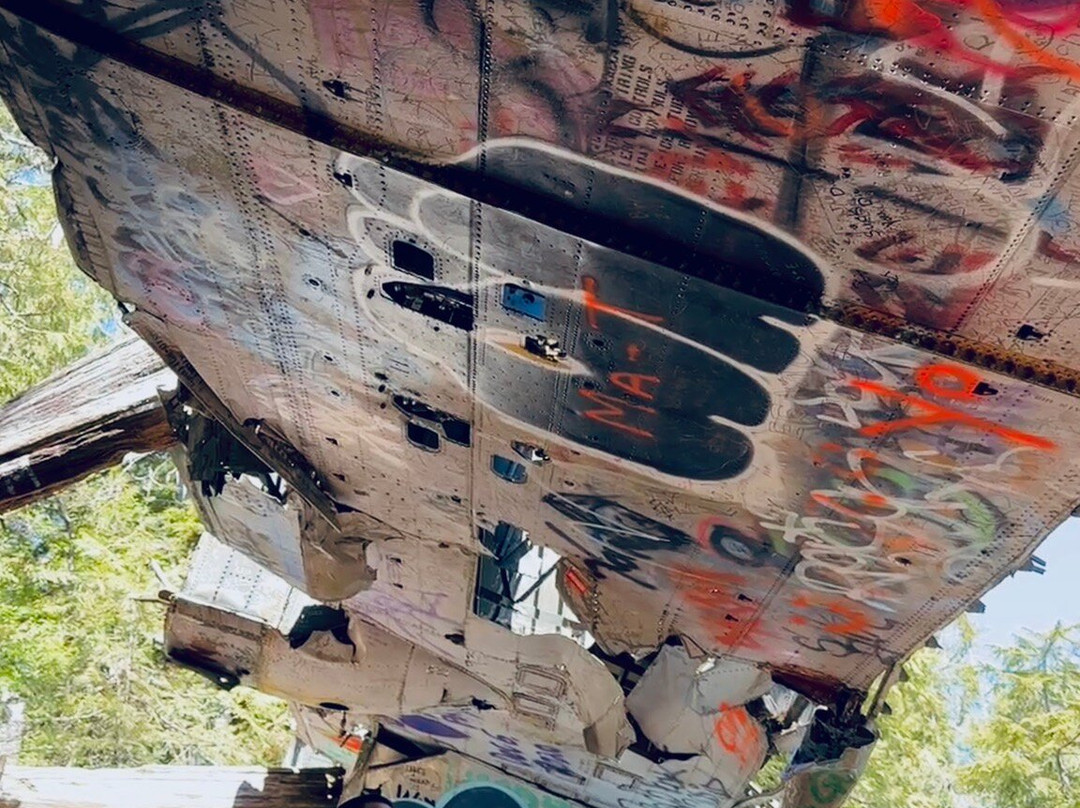 Canso Plane Crash Hike-托菲诺必去景点