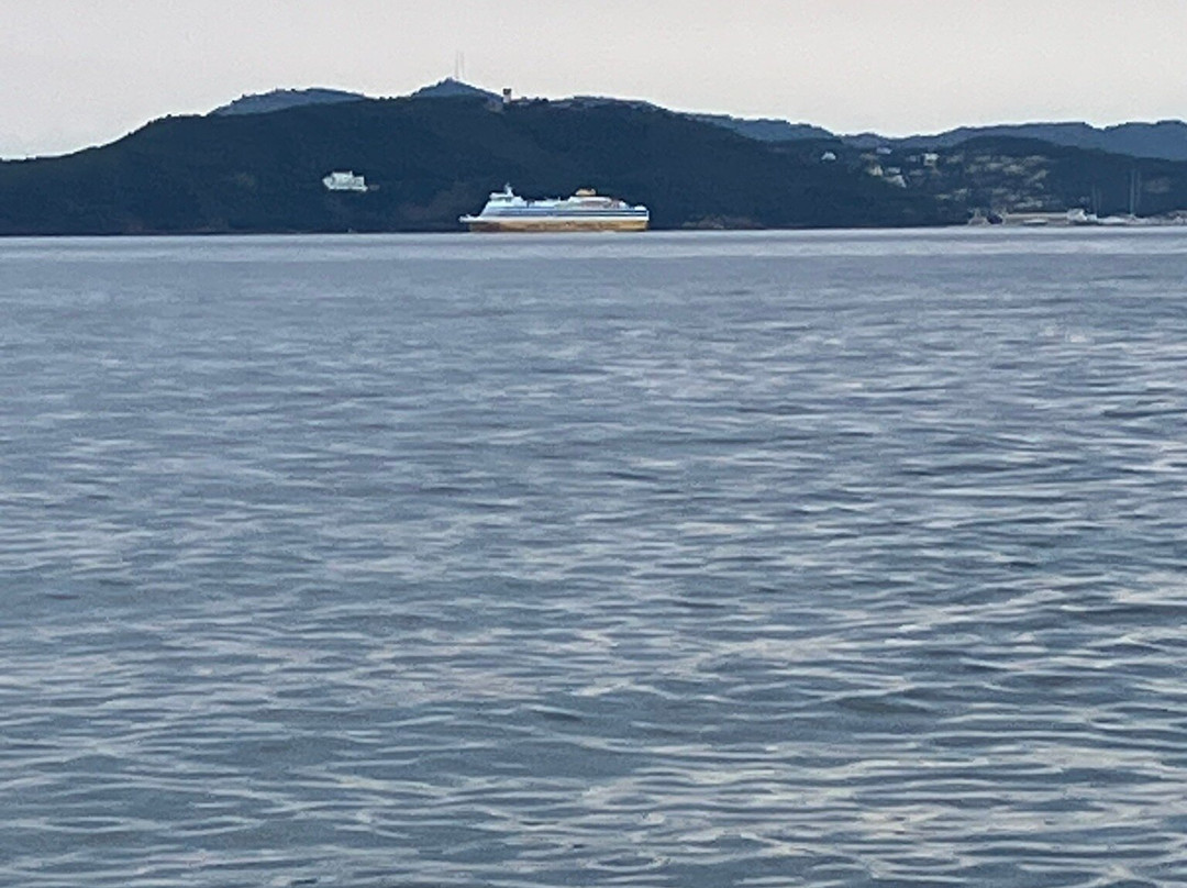 Sea Connect-Saint-Mandrier-sur-Mer必去景点