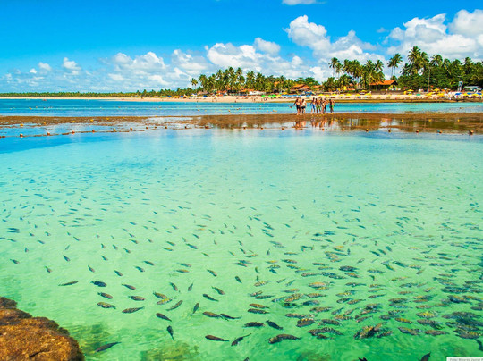 Transfer Porto de Galinhas Val
