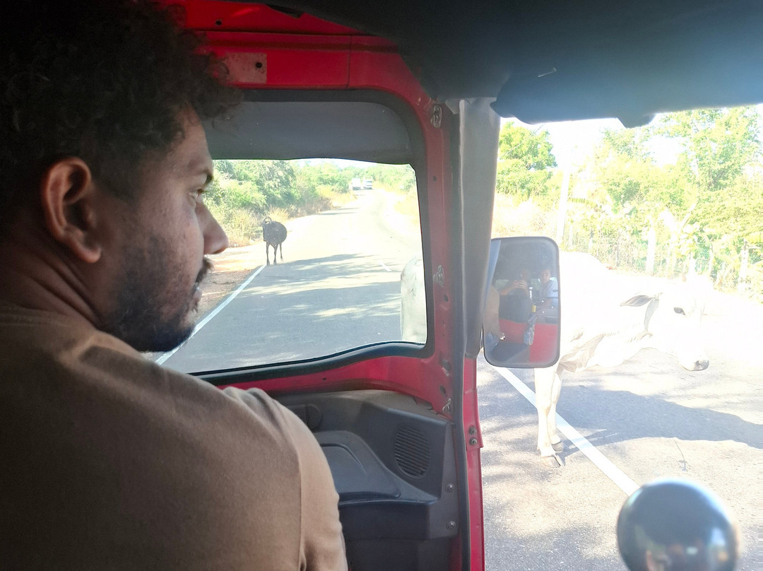 Tuk Tuk Travel With Nishan-Saliyapura必去景点