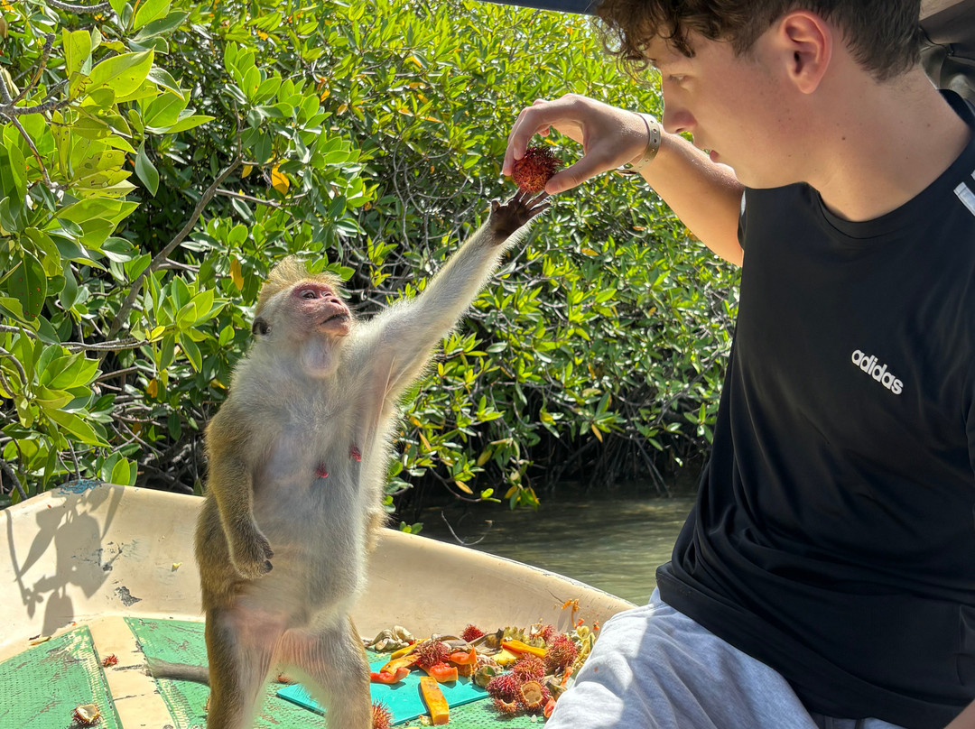 Enviro Bicycle Tours-尼甘布必去景点