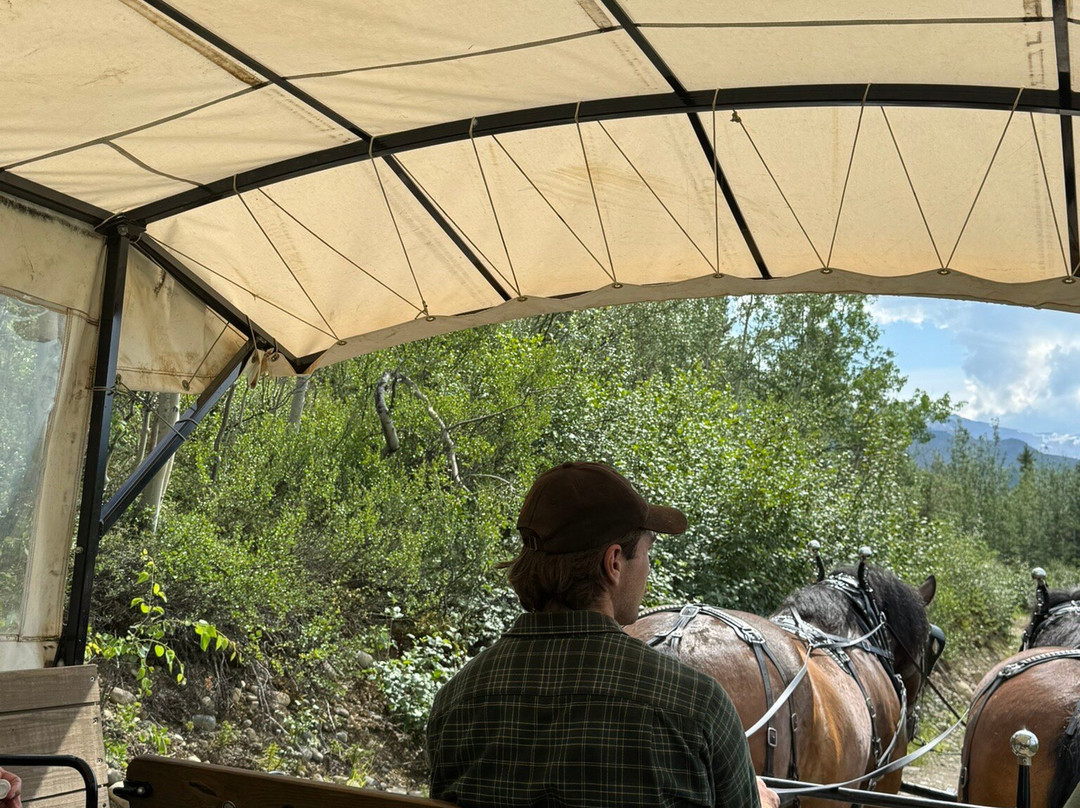 Black Diamond Resort Company-希利必去景点