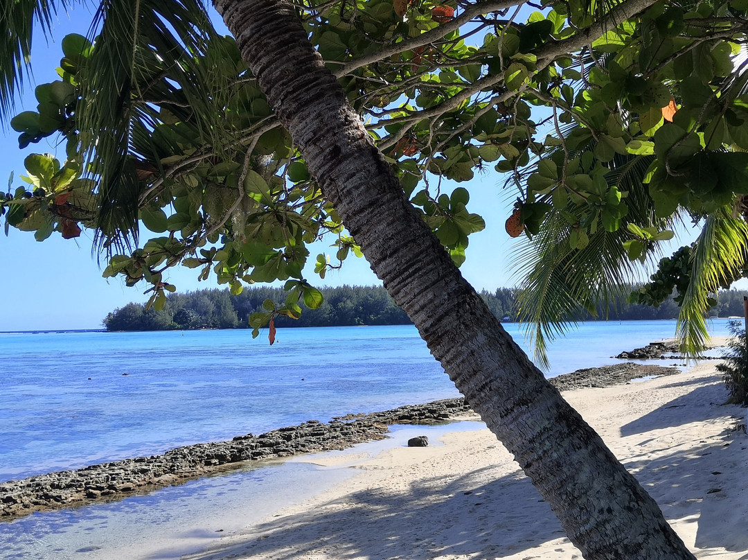Moorea Island Beach主图