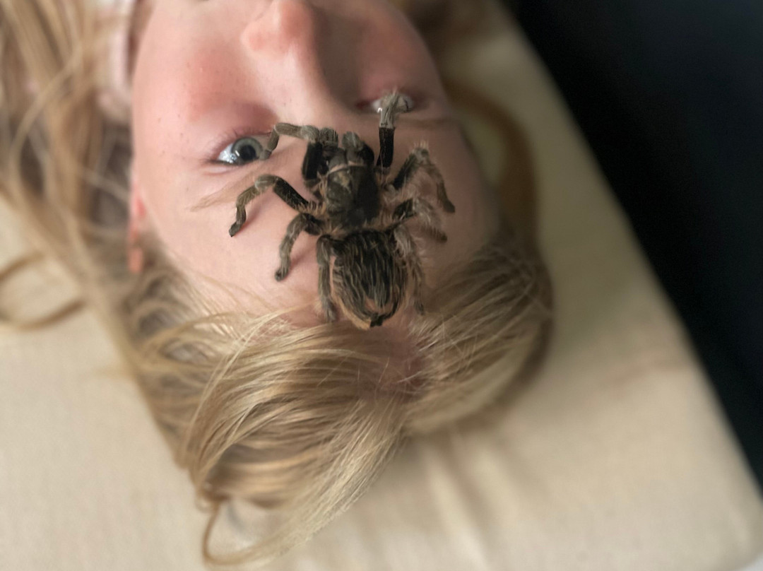 Dyrenes Verden Filskov Mini Zoo i Billund-格林斯泰兹必去景点