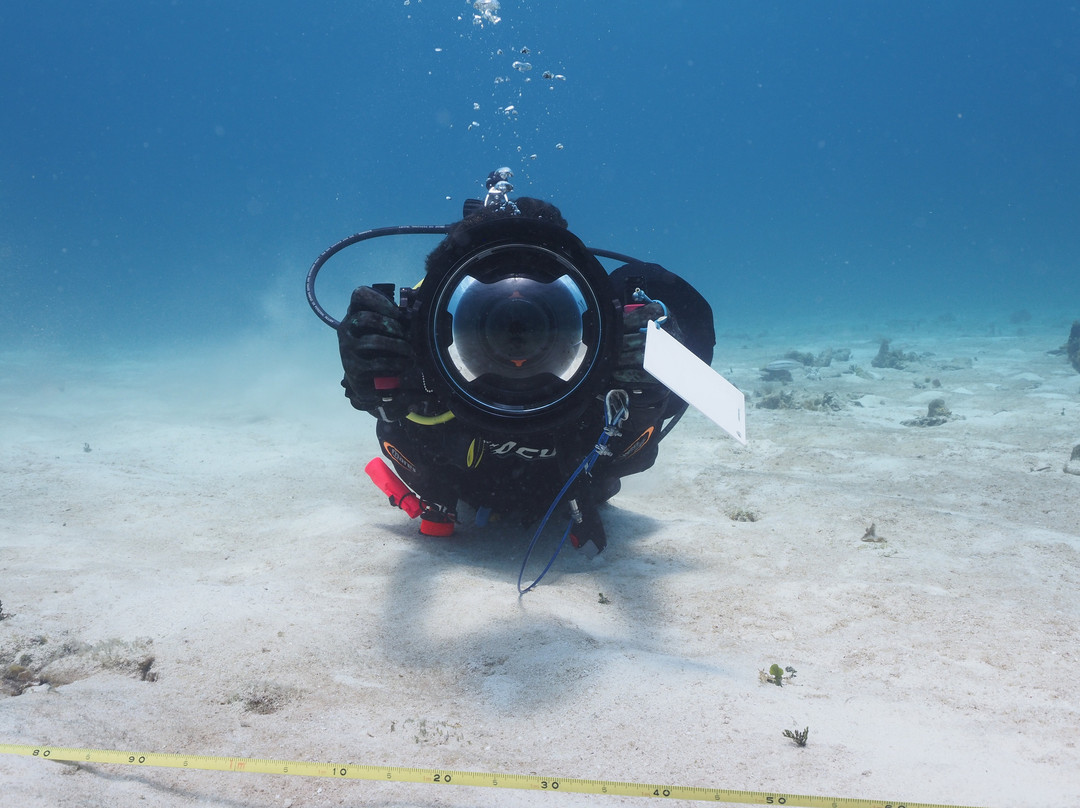 The Shipwreck Survey-圣尤斯泰希厄斯岛必去景点