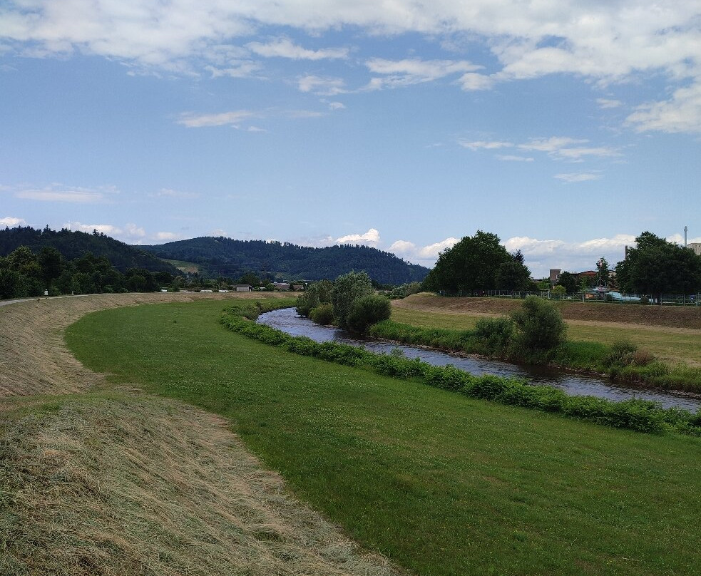 Schwarzwald-Hotel Gengenbach主图