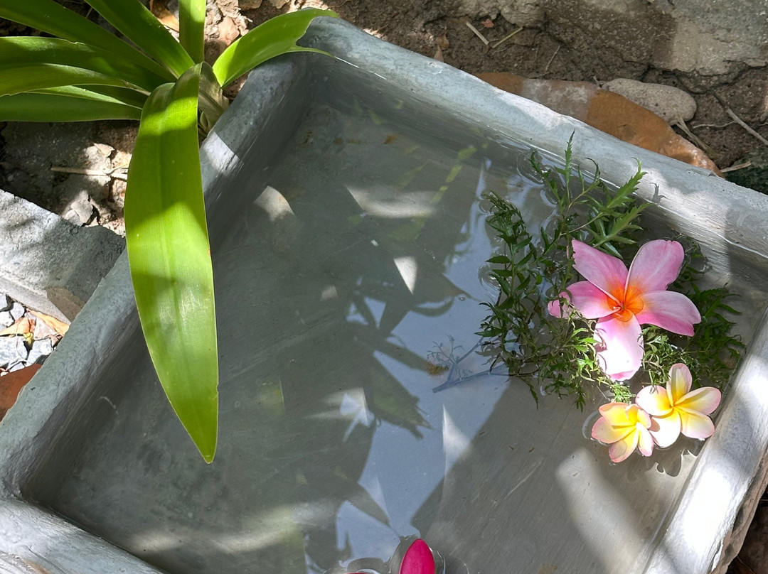 苏梅岛天堂查武恩海滩度假村主图