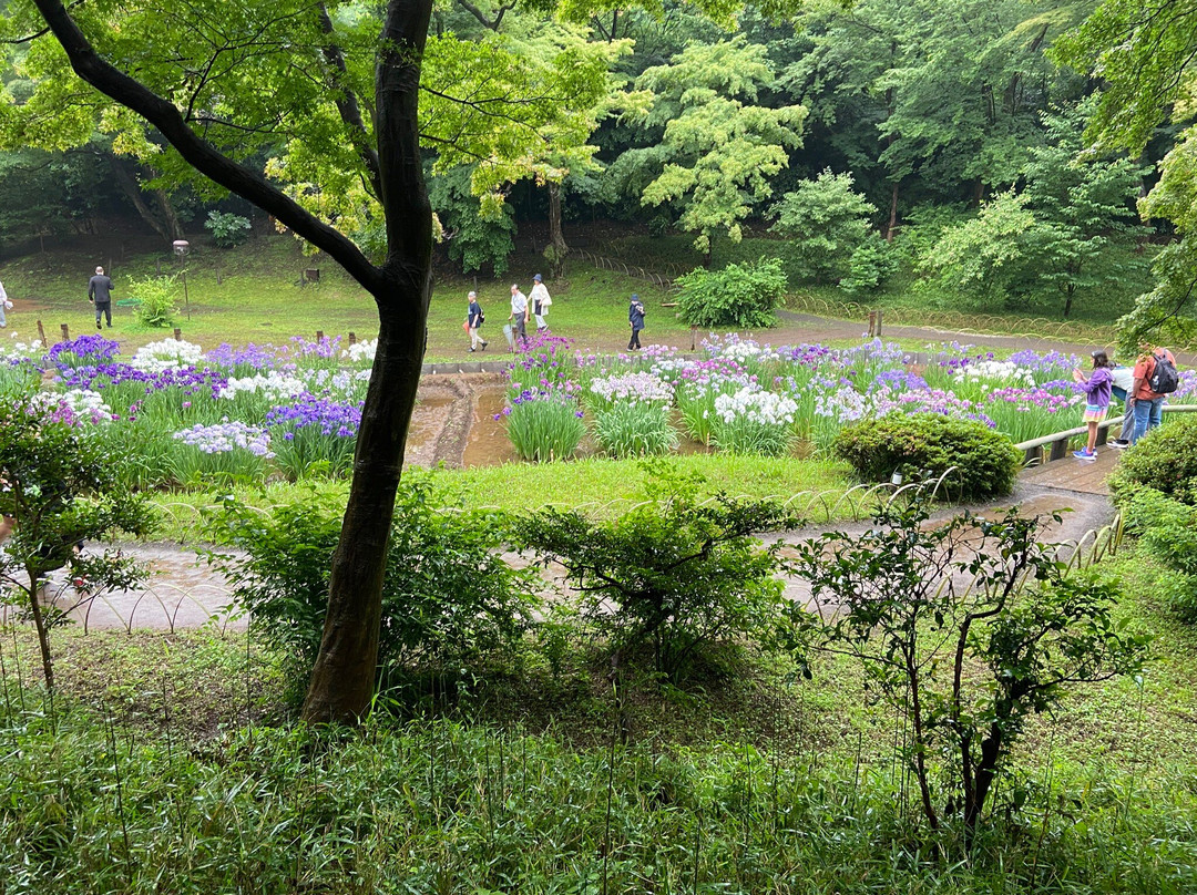 Meiji Shrine Imperial Garden-涩谷区必去景点