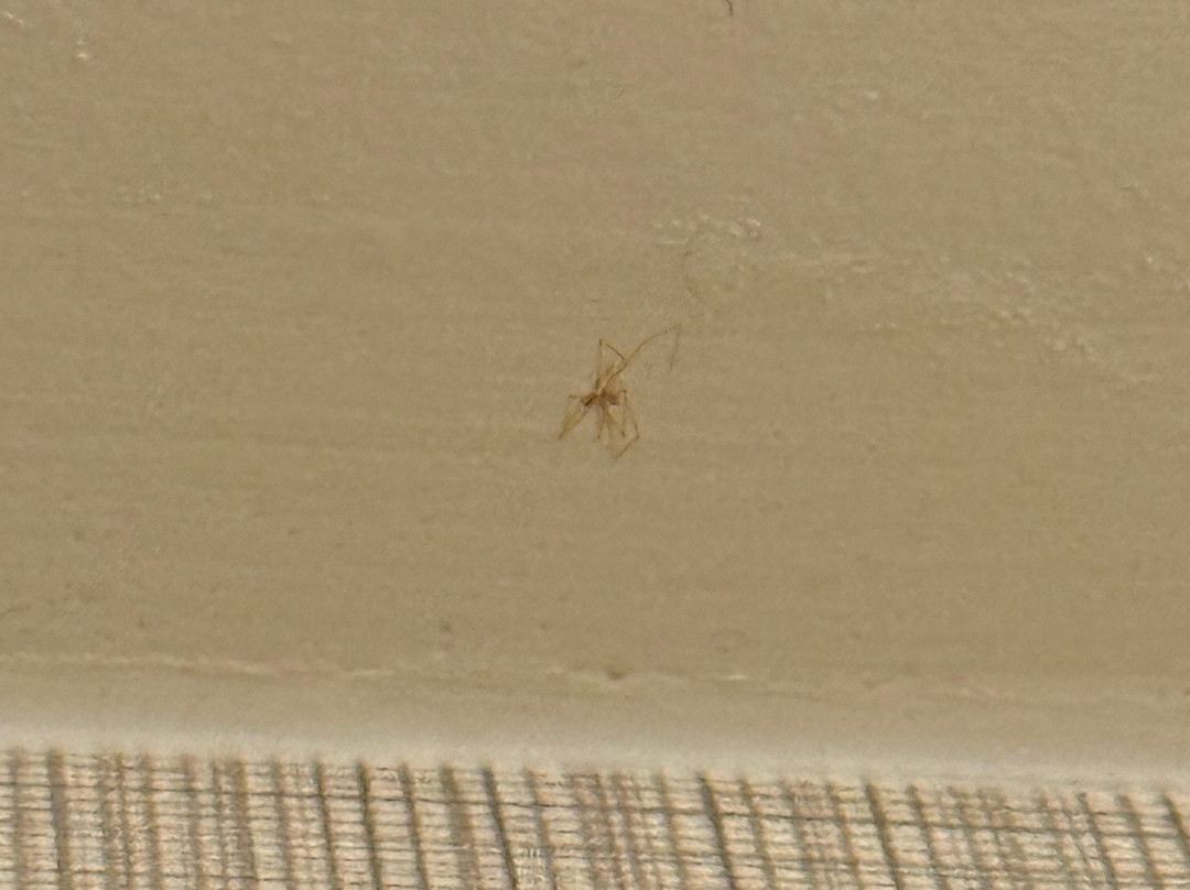 Residence Inn by Marriott Philadelphia West Chester/Exton主图