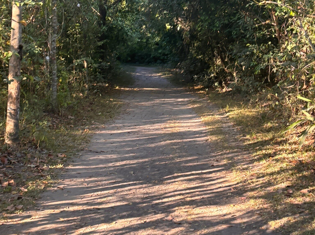 Fervedouro Do Alecrim-Sao Felix do Tocantins必去景点
