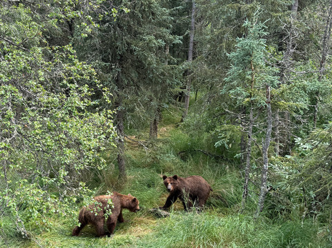 Beryl Air-荷马必去景点