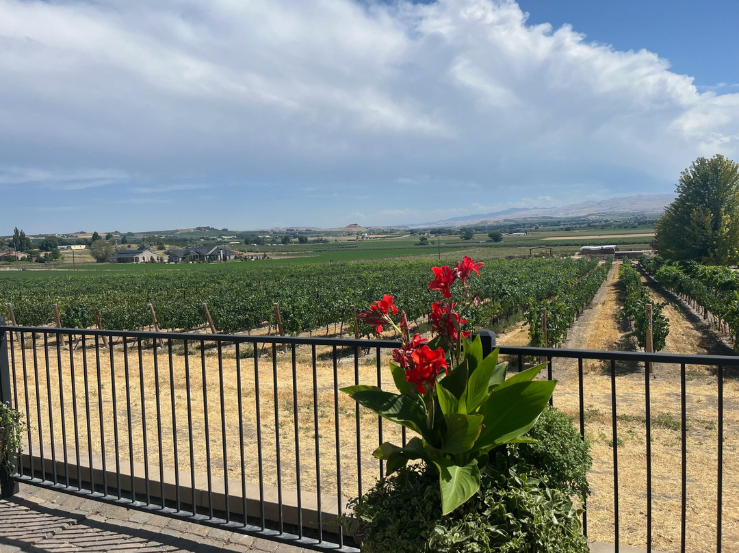 Ste. Chapelle Winery-Caldwell必去景点