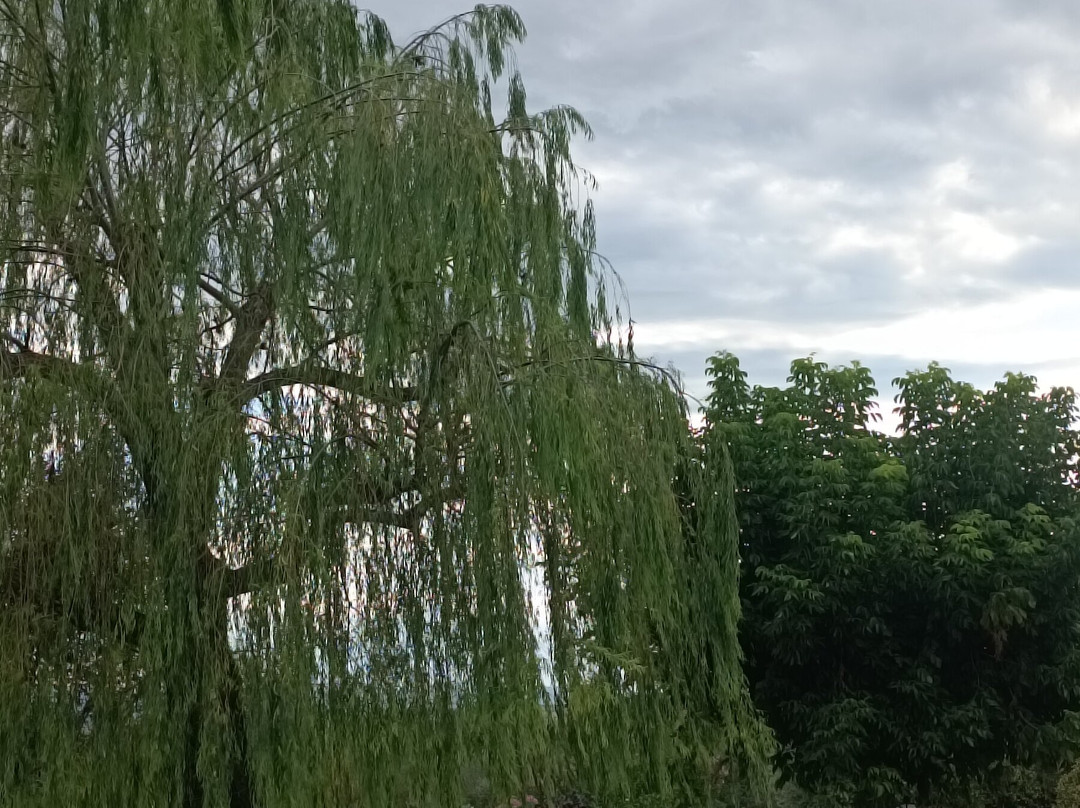 Antica Fattoria del Colle主图