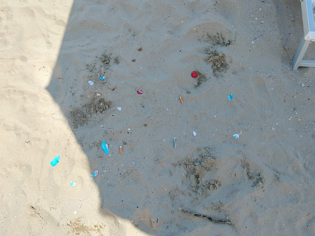 Hotel La Perla主图