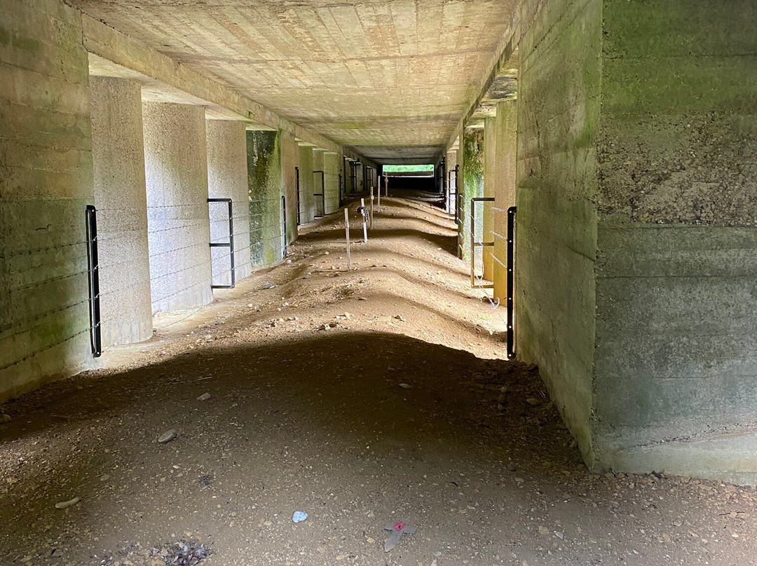 Tranchée des Baïonnettes-凡尔登必去景点