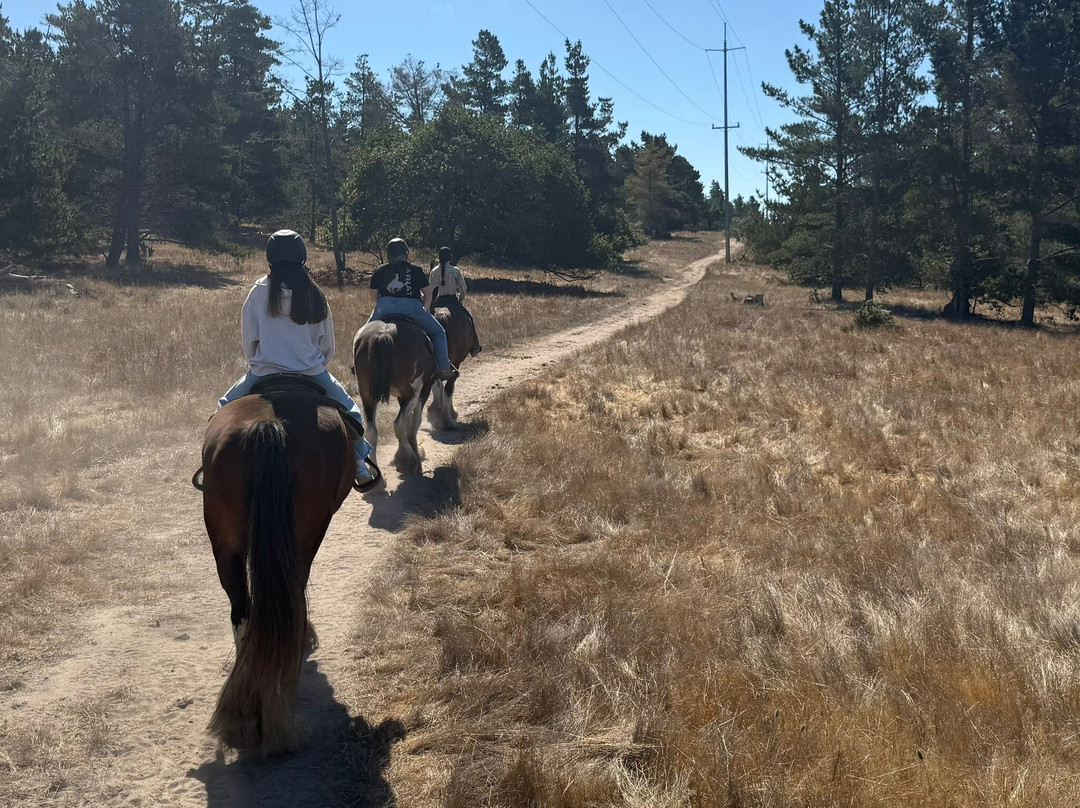 Covell's Clydesdales-坎布里亚必去景点
