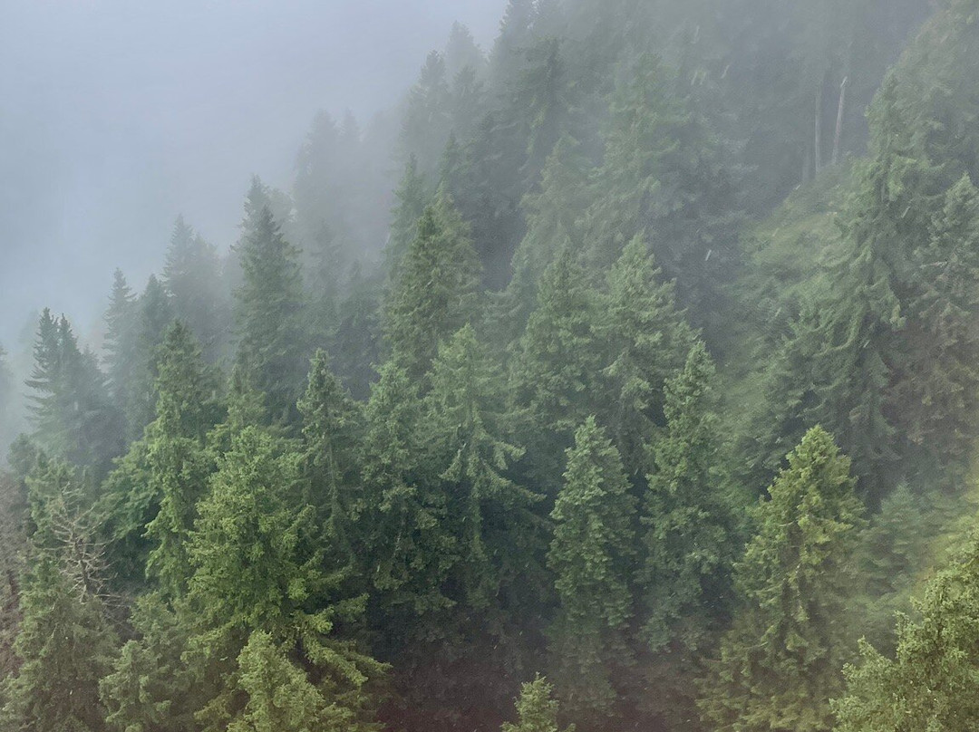 Luftseilbahn Ebenalp-Wasserauen必去景点