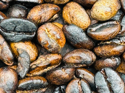 Zanzi Trekking and Safaris Limited-阿鲁沙必去景点