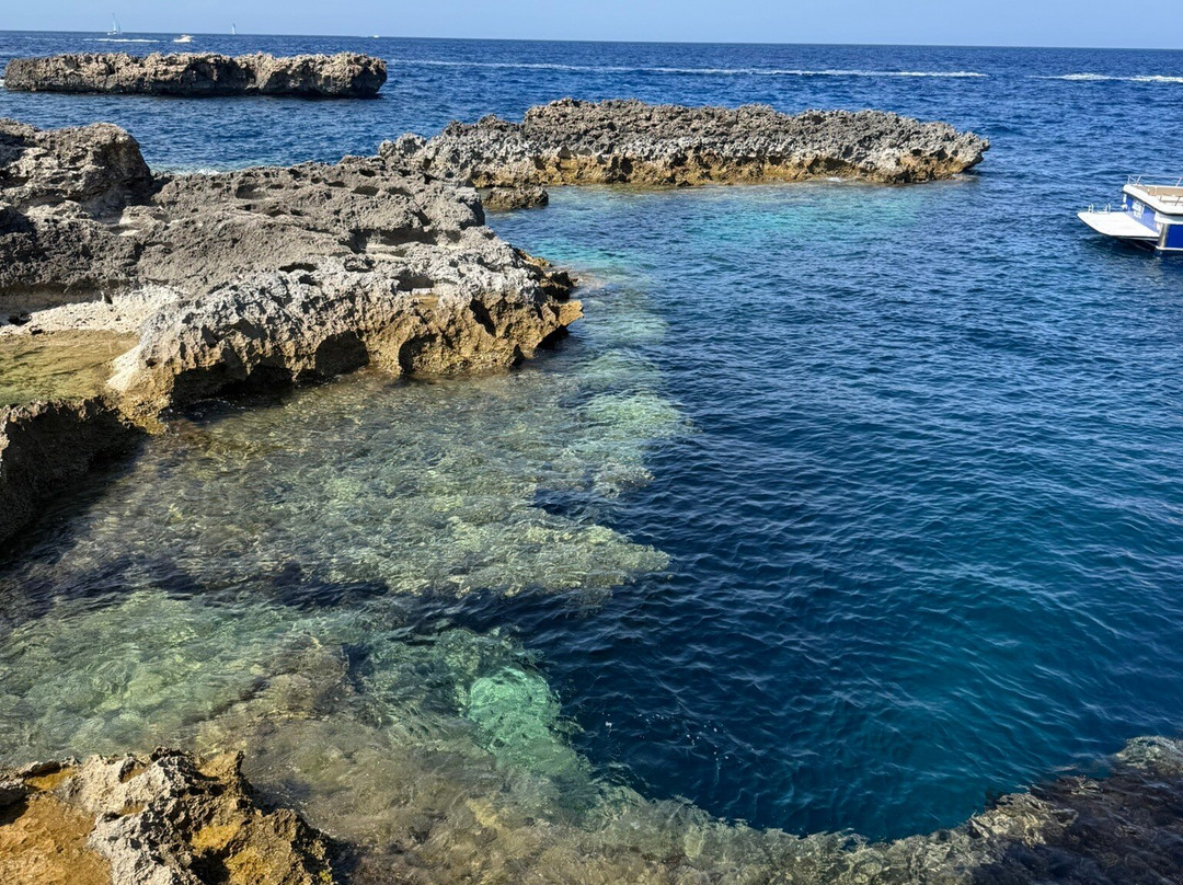 Aquaholic Boat Charters-圣保罗湾城必去景点