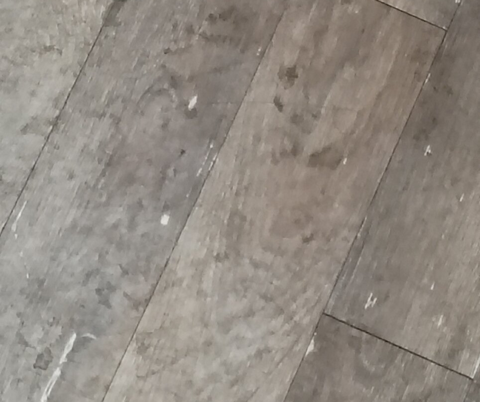 Country Inn & Suites by Radisson主图