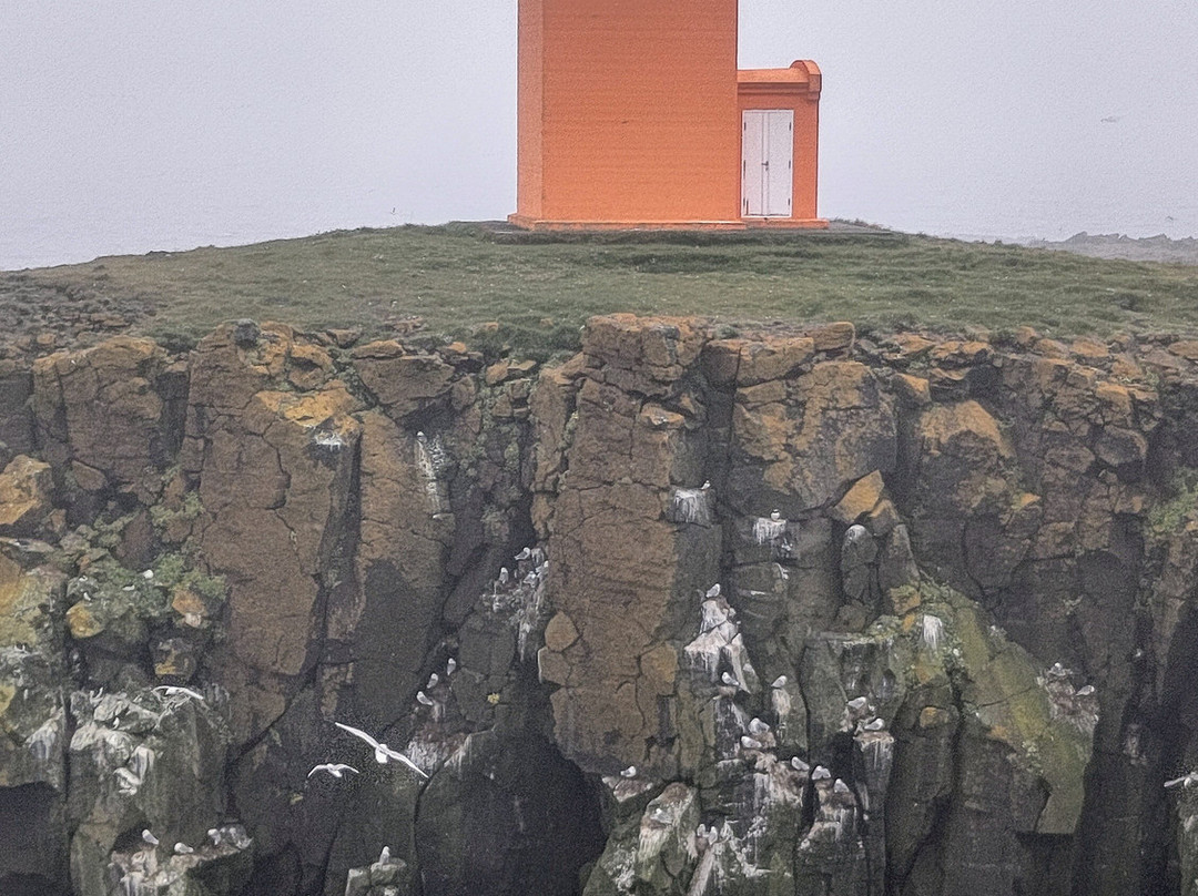 Arctic Trip-Grimsey Island必去景点