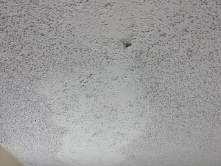 Quality Inn Fort Campbell主图