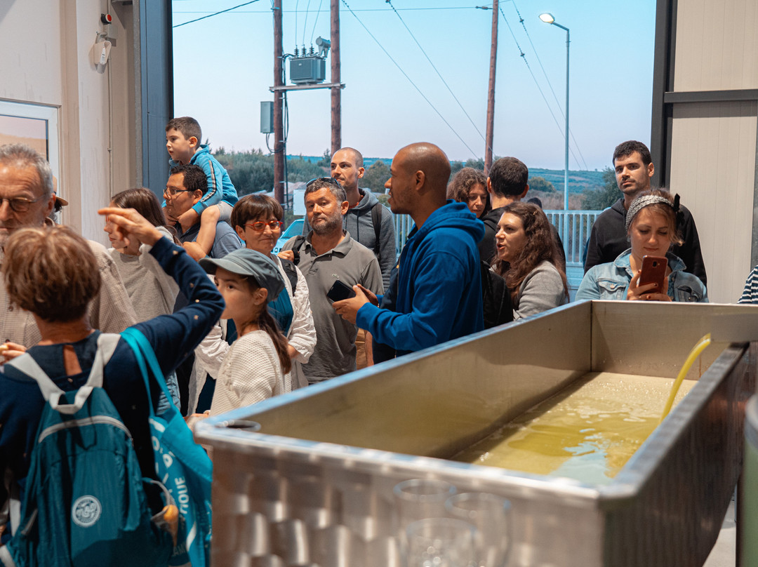 Olive Oil Experience Crete-Peza必去景点