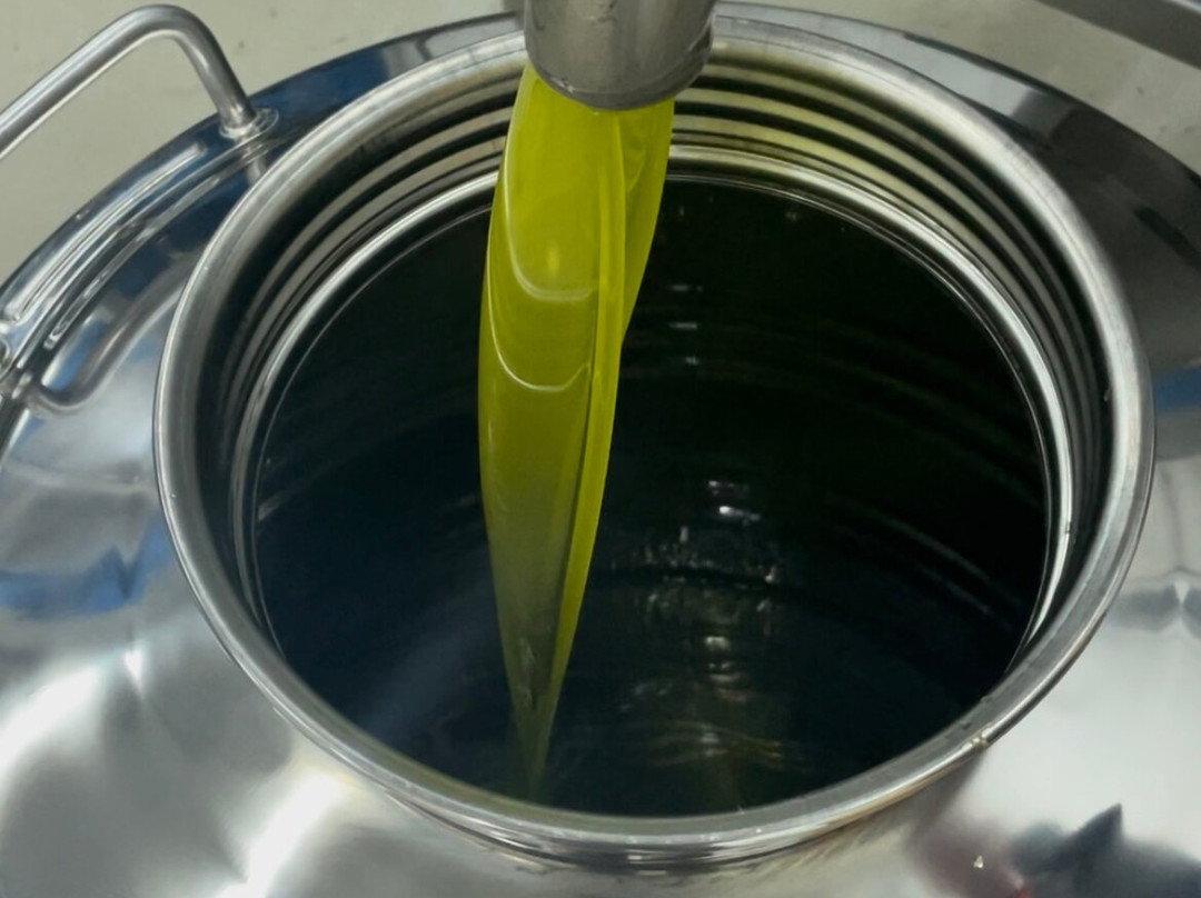 Jacob's Olive-Sveti Filip i Jakov必去景点