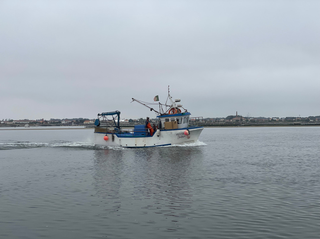 Vadiar Turismo-Praia de Mira必去景点