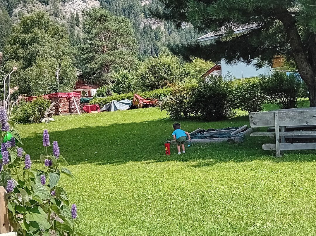 Pensione Rieplhof主图