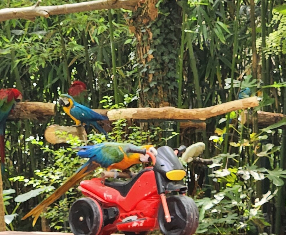 Le Parc des Perroquets-Bren必去景点