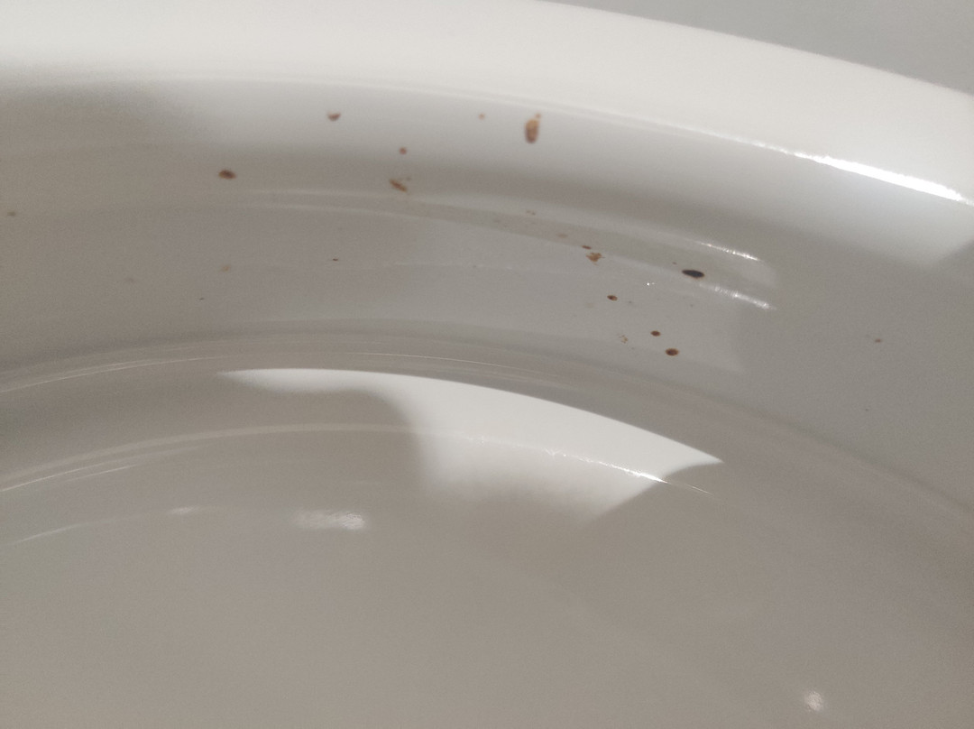 Hotel du Phare主图