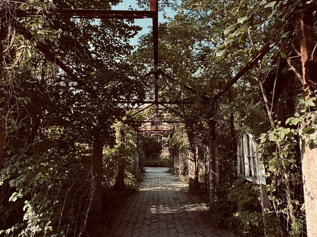 Beelitz-Heilstätten-Beelitz必去景点