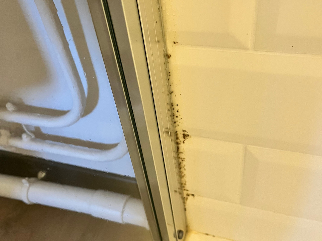 B&B HOTEL Angers 1 Beaucouzé主图