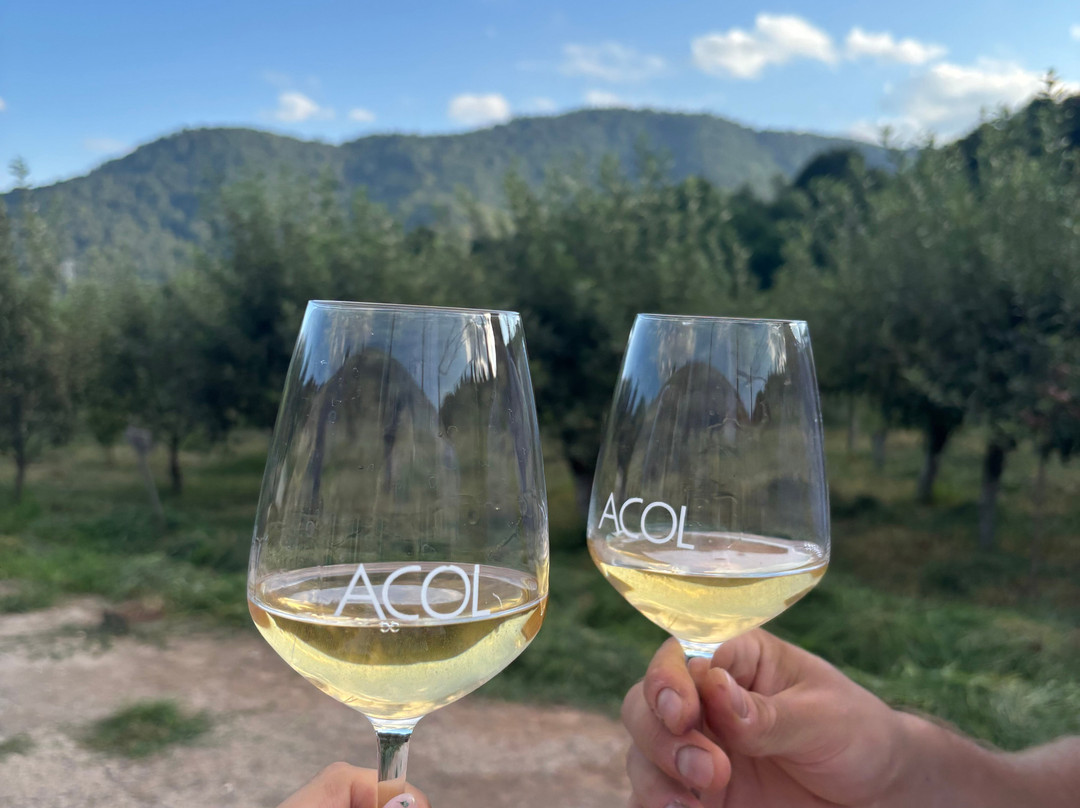 Acol Armenian Ethnic Manor-Dilijan必去景点