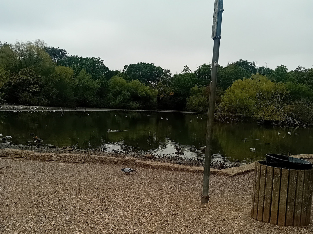 Southampton Common-南安普敦必去景点