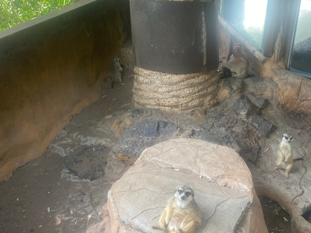 Maroparque Isla de La Palma-Brena Alta必去景点