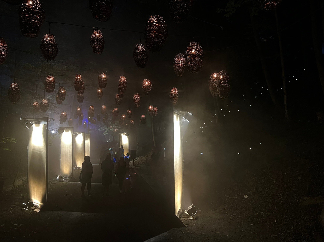 Foresta Lumina-Coaticook必去景点