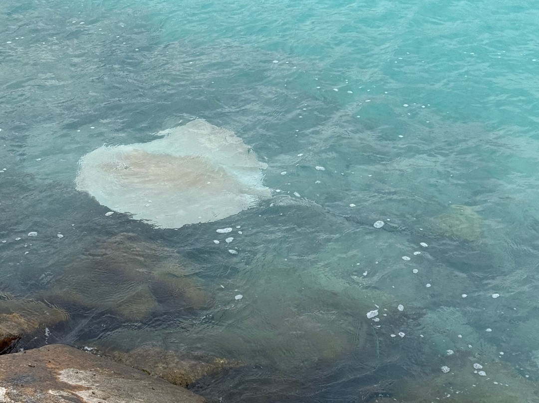 Wave Sound by 3S Maldives主图