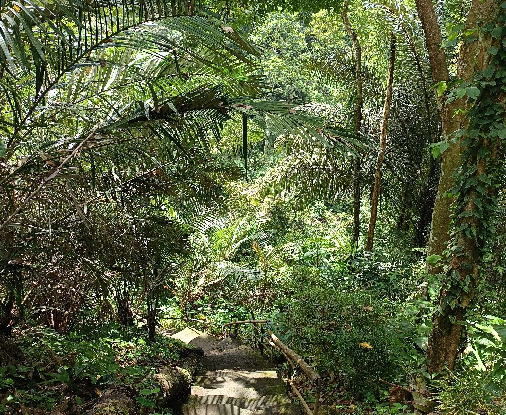 Jagasatru Waterfall-卡朗阿森必去景点