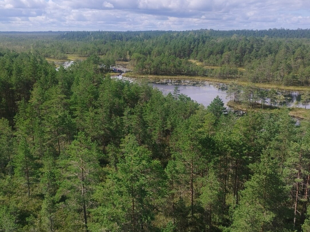 Mukri Bog-Kehtna必去景点