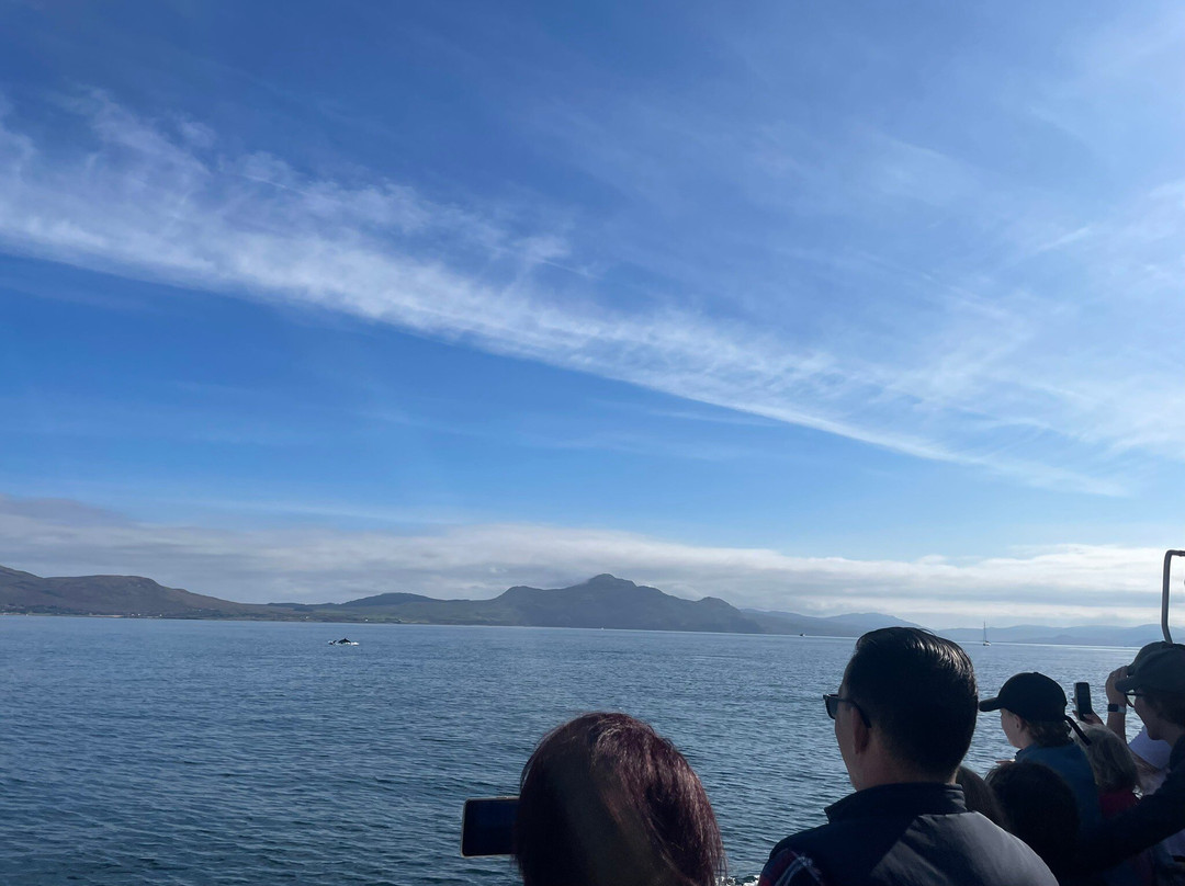 Staffa Tours-Isle of Iona必去景点