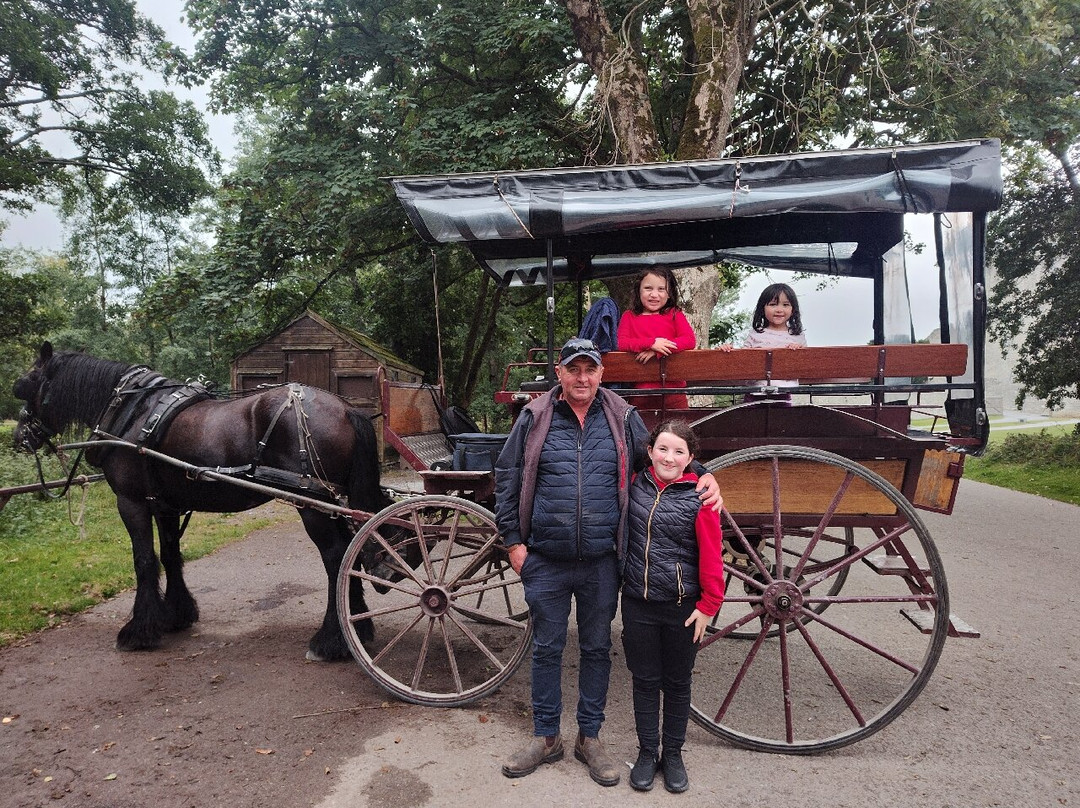 Ross castle carriages-基拉尼必去景点