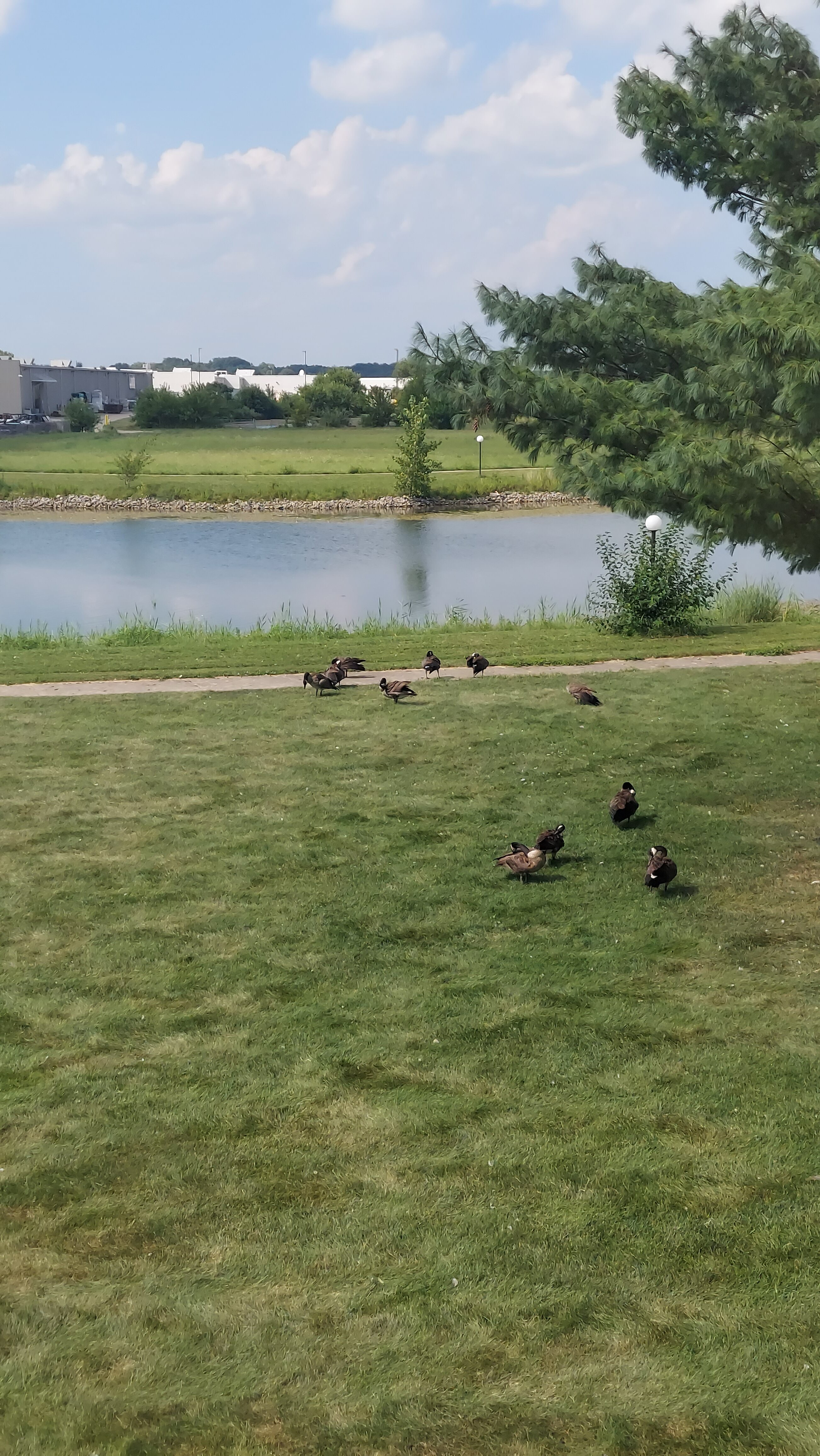 Ramada by Wyndham Springfield North-酒店景观