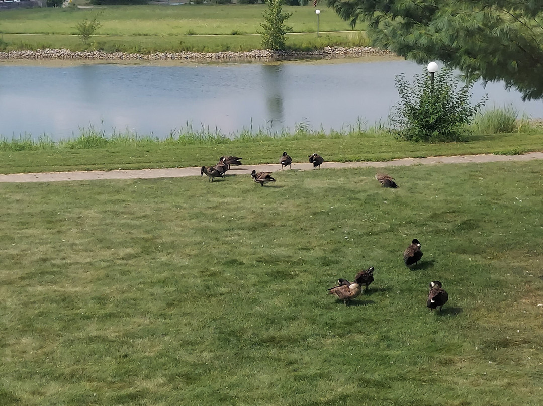 Ramada by Wyndham Springfield North主图