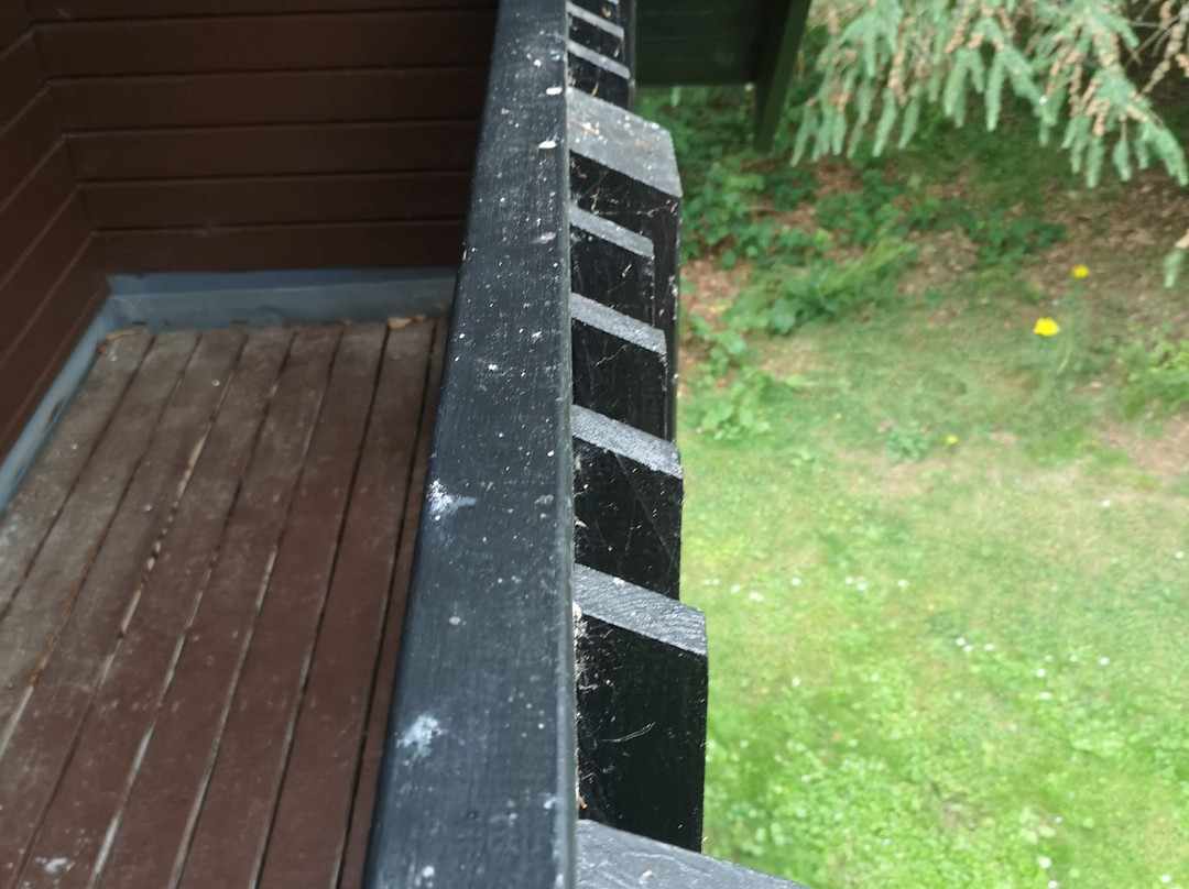 Forbes of Kingennie Country Resort Lodges主图