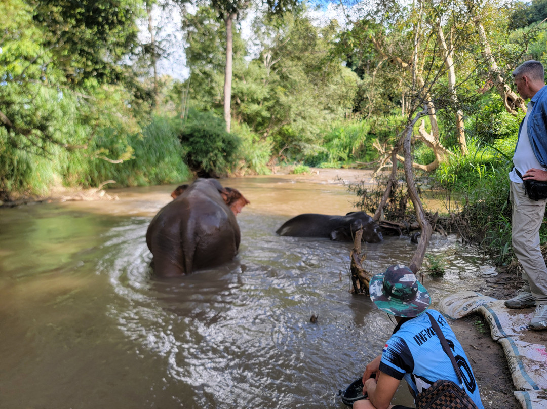 Elephant Sanctuary Care Park-清迈必去景点