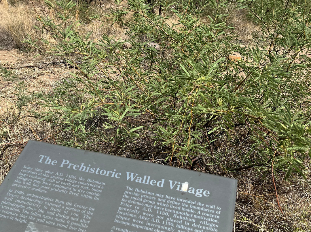 Catalina State Park-图森必去景点